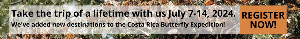 2024 Costa Rica Monarch Trip Promo